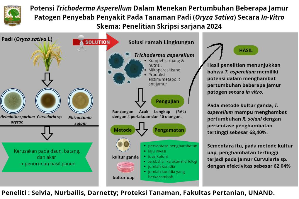 Potensi Trichoderma Asperellum Dalam Menekan Pertumbuhan Beberapa Jamur Patogen Penyebab Penyakit Pada Tanaman Padi (Oryza Sativa) Secara In-Vitro