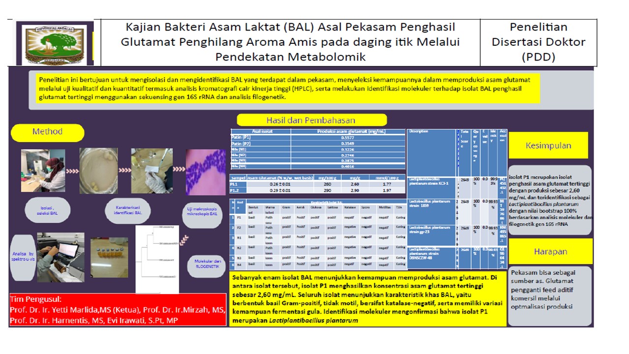 [Kajian  Bakteri Asam Laktat (BAL) Asal Pekasam Penghasil Glutamat  Penghilang Aroma Amis pada daging itik  Melalui Pendekatan Metabolomik]