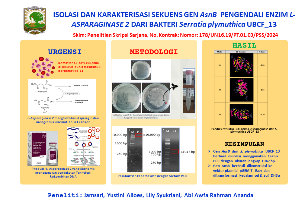 Isolasi dan Karakterisasi Sekuens Gen AsnB Pengkode Enzim L-Asparaginase 2  dari Bakteri Serratia plymuthica UBCF_13