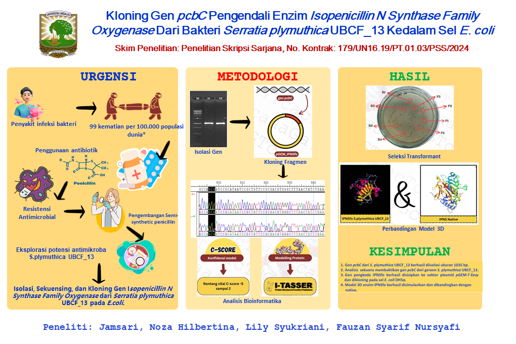 Kloning Gen pcbC  Pengendali Enzim Isopenicillin N Synthase Family Oxygenase Dari Bakteri Serratia plymuthica UBCF_13 Kedalam Sel E. Coli 