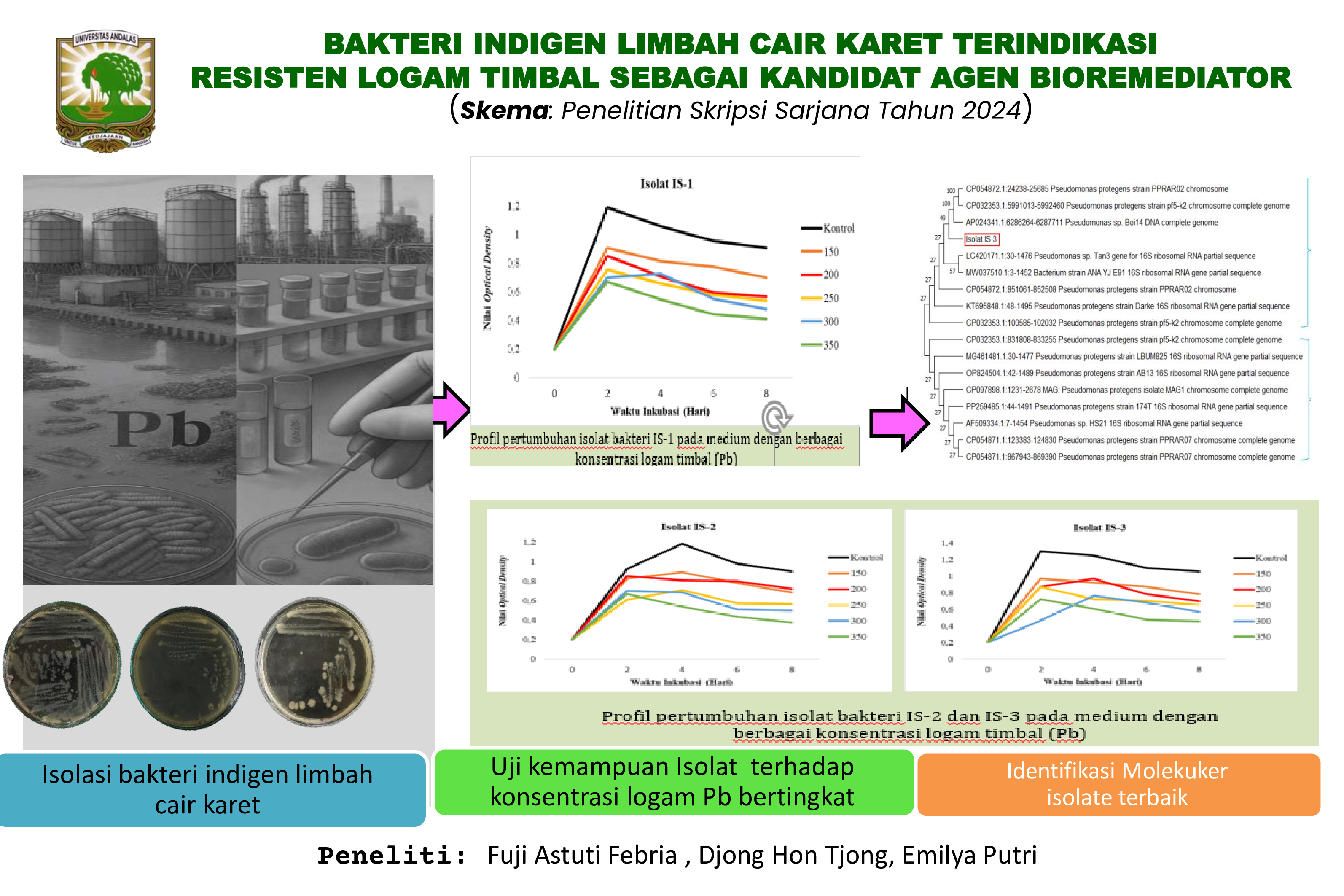 Bakteri Indigen Limbah Cair Karet Terindikasi Resisten Logam Timbal Sebagai Kandidat Agen Bioremediator